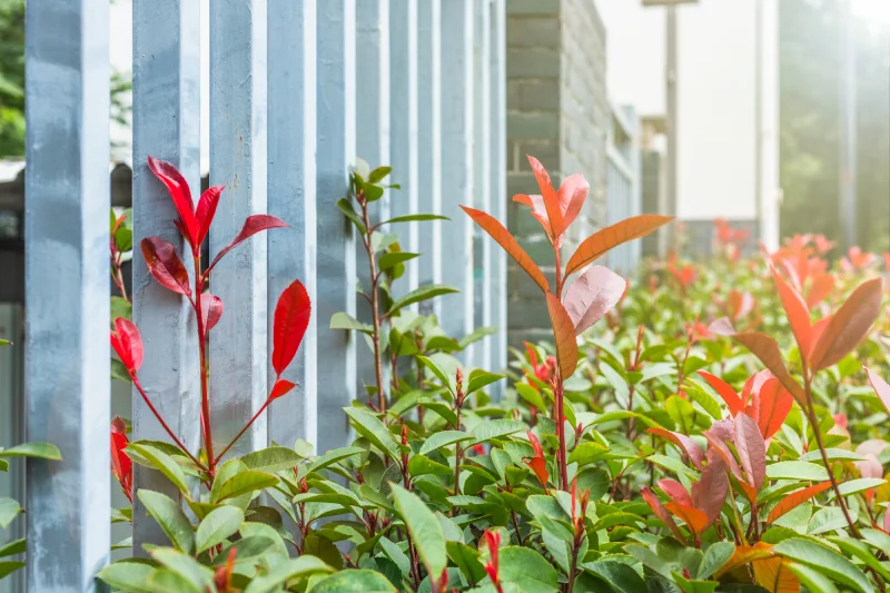 decorar hospitales con jardines verticales